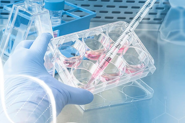 包装行业的绿色革命——食品级改性塑料新趋势